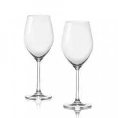 Ocean Sante Wine Glass