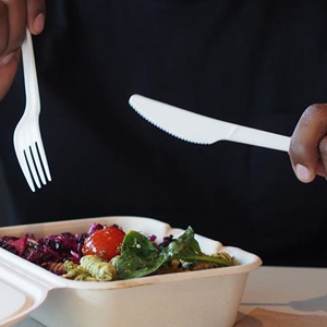 BioPak Bioplastic Cutlery Knife, Fork and Napkin Set